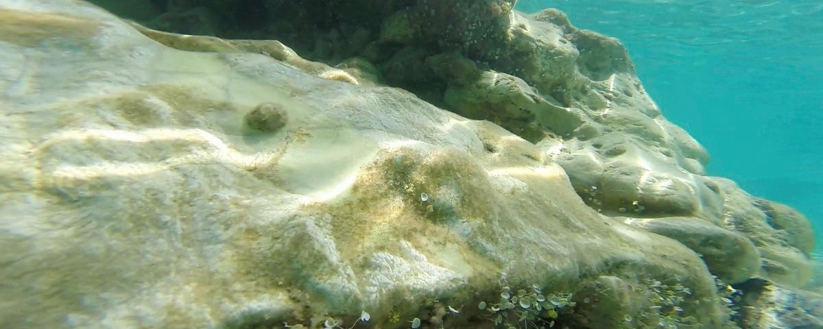 karaoulanis_ecotourism_20