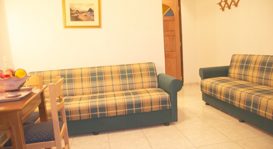 Apartment  25 living room 