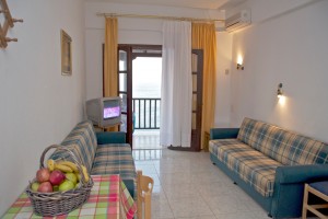 Apartment  31 living room 