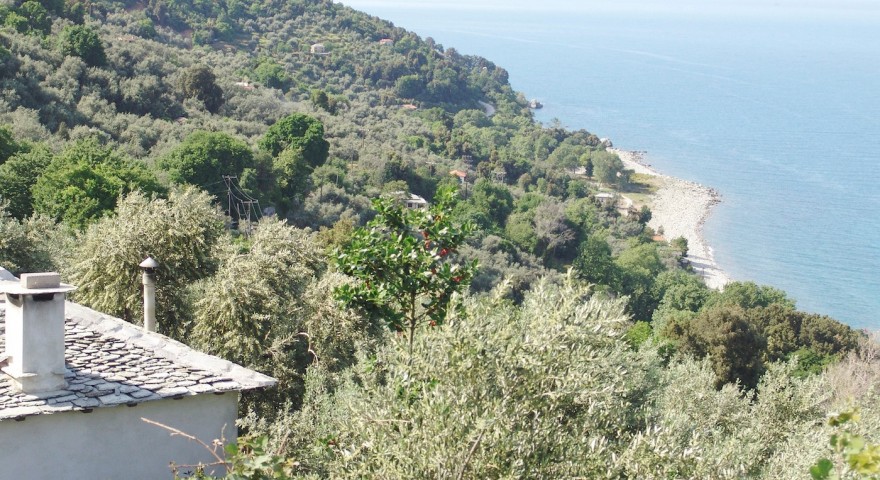 DSC05786