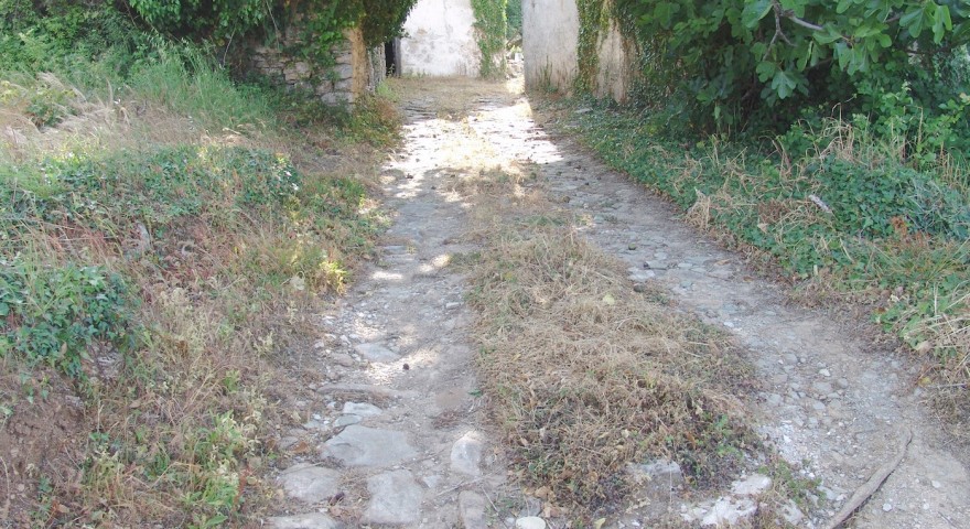 DSC05787